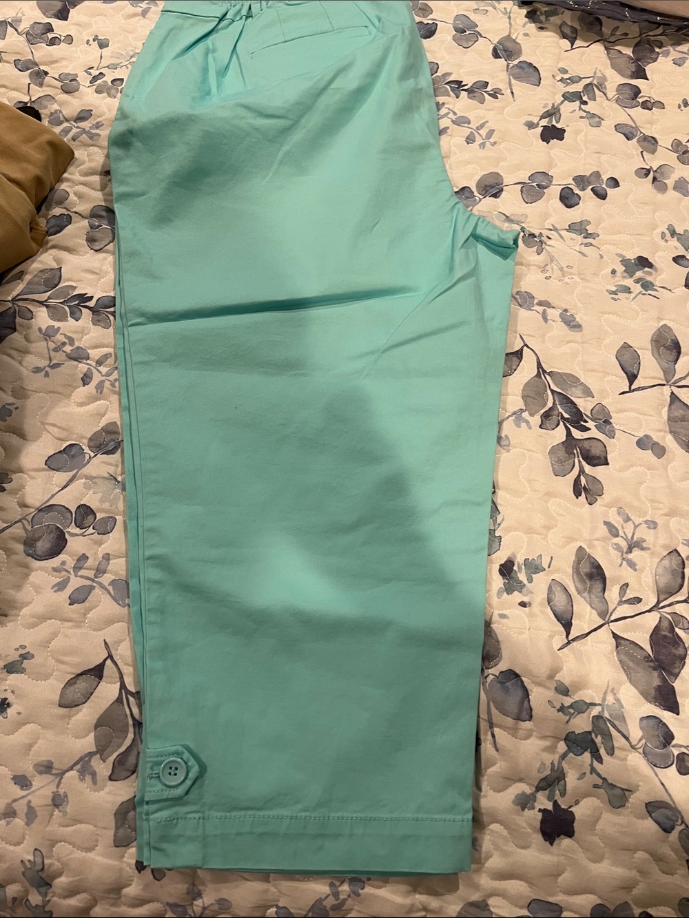 Talbots Mint Green Capris